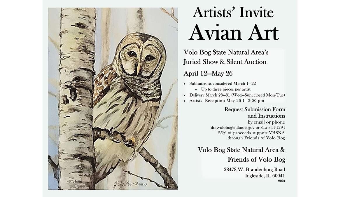 Avian Art at Volo Bog State Natural Area: A Juried Show and Silent Auction 